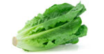 local lettuce
