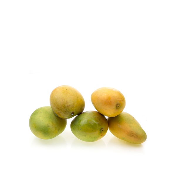 mango fas ewais