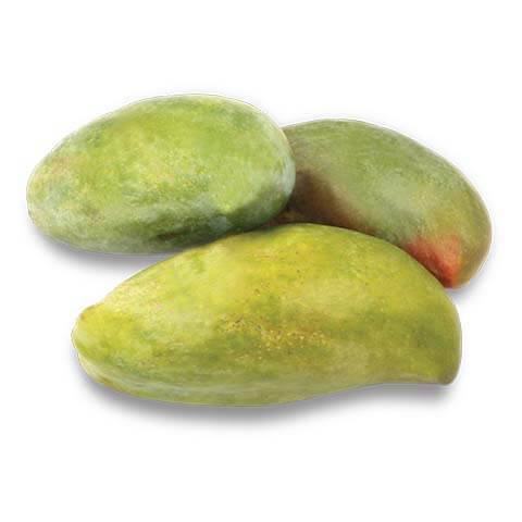 مانجو صديقة