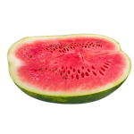 d4debf38-f598-422d-97c1-bb8970170d36-1000×1000-coxdmWuxJ79siTEprZrfJRF6BVEyuH5jB7kHHRGr
