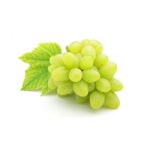 202304171058561853790