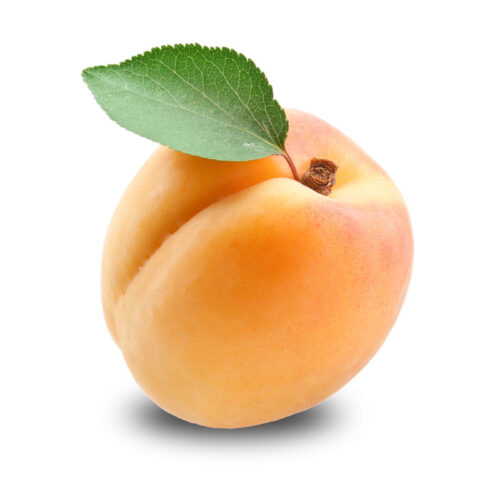 مشمش عمار