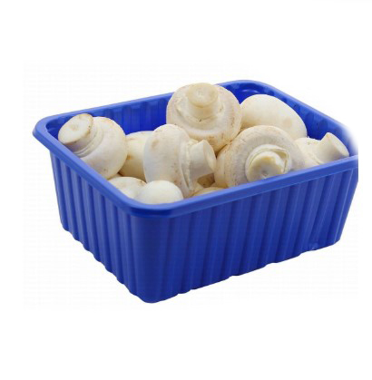 mushroom pack