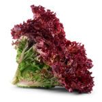 red lettuce